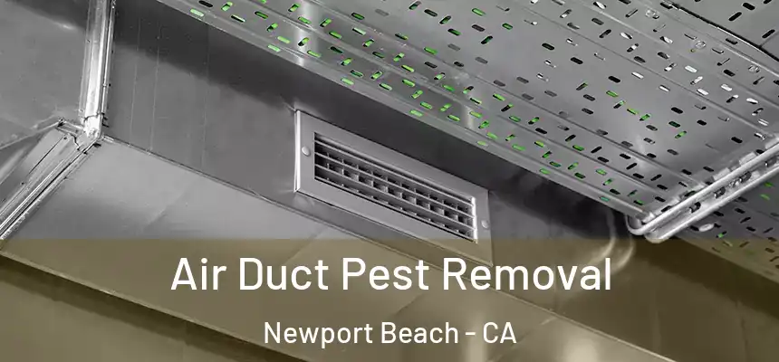 Air Duct Pest Removal Newport Beach - CA