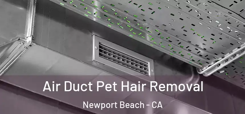 Air Duct Pet Hair Removal Newport Beach - CA