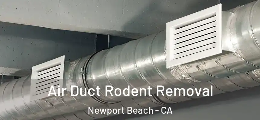 Air Duct Rodent Removal Newport Beach - CA