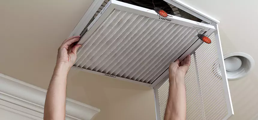 Our Insect Removal from Air Ducts Services in Newport Beach, CA