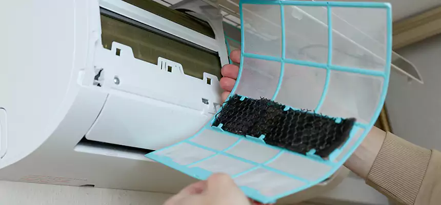 Gentle Ductwork Odor-Control Pet Dander Duct Cleaning in Newport Beach, CA