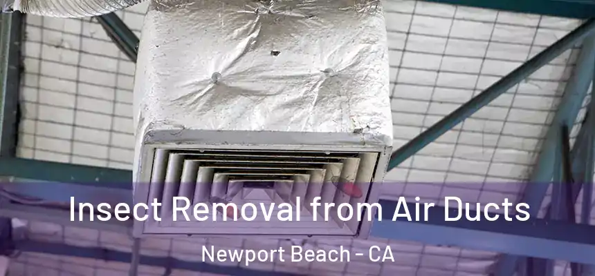 Insect Removal from Air Ducts Newport Beach - CA