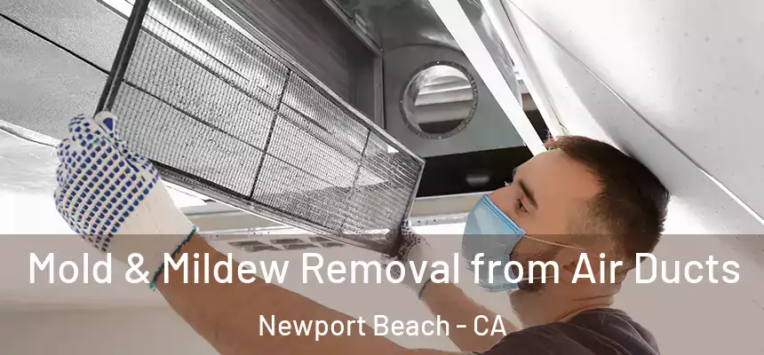 Mold & Mildew Removal from Air Ducts Newport Beach - CA