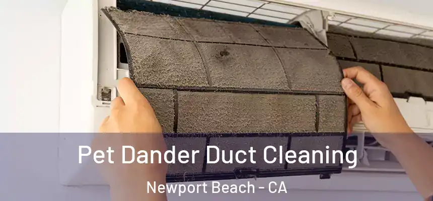 Pet Dander Duct Cleaning Newport Beach - CA