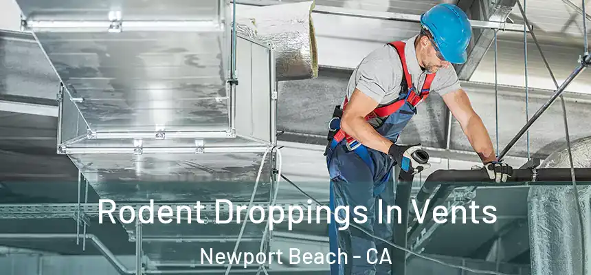 Rodent Droppings In Vents Newport Beach - CA