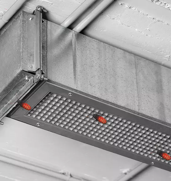 About Air Duct Cockroach Removal in Newport Beach, CA