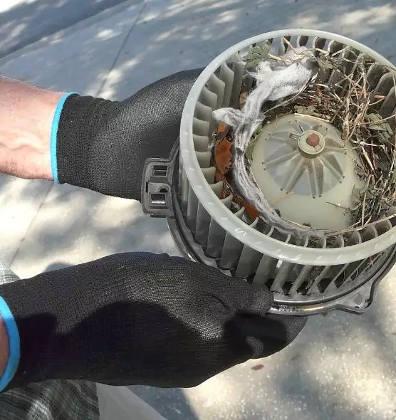 About Air Duct Rat Removal in Newport Beach, CA