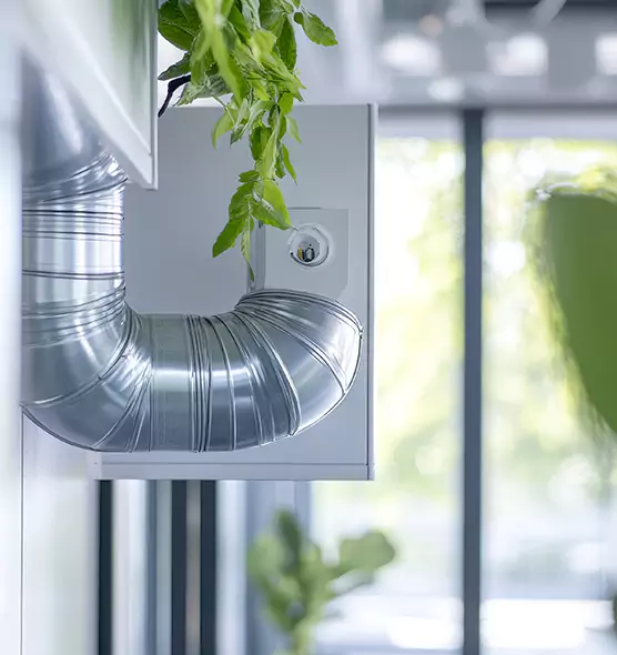 Professional Eco-Safe Dryer Vent Cleaning in Newport Beach, CA