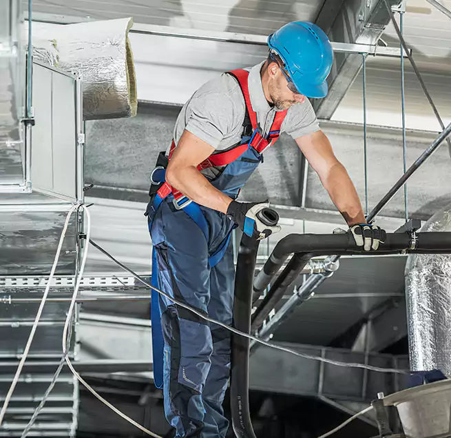 Why Homeowners & Businesses Trust Us in Newport Beach, CA?