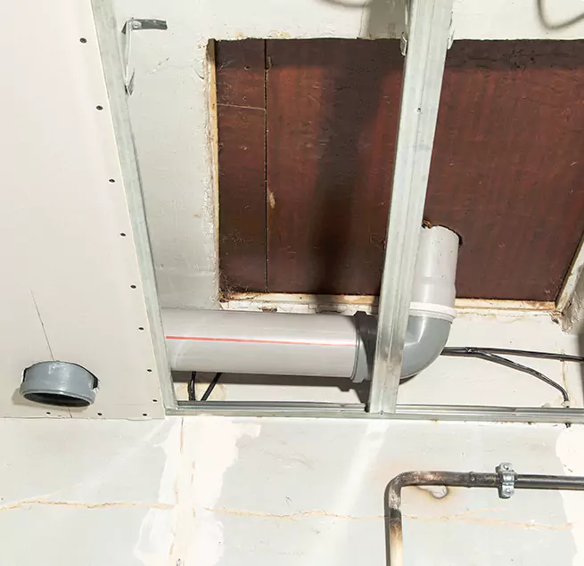 Why Homeowners & Businesses Trust Us in Newport Beach, CA?