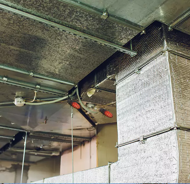 Why Homeowners & Businesses Trust Us Newport Beach, CA?