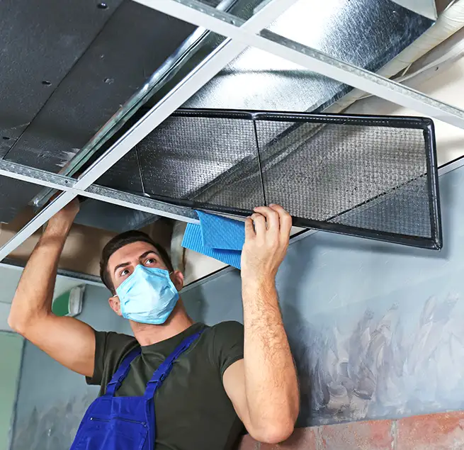 Why Homeowners & Businesses Trust Us in Newport Beach, CA?