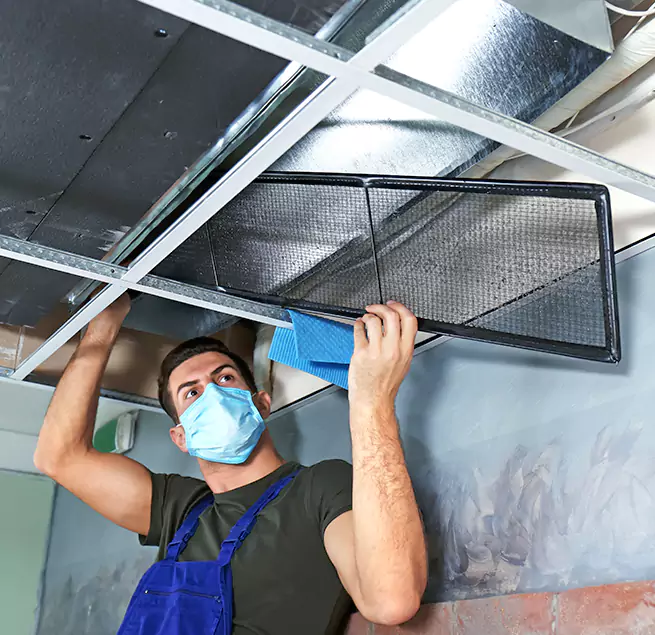 Why Homeowners Businesses Trust Us in Newport Beach, CA?